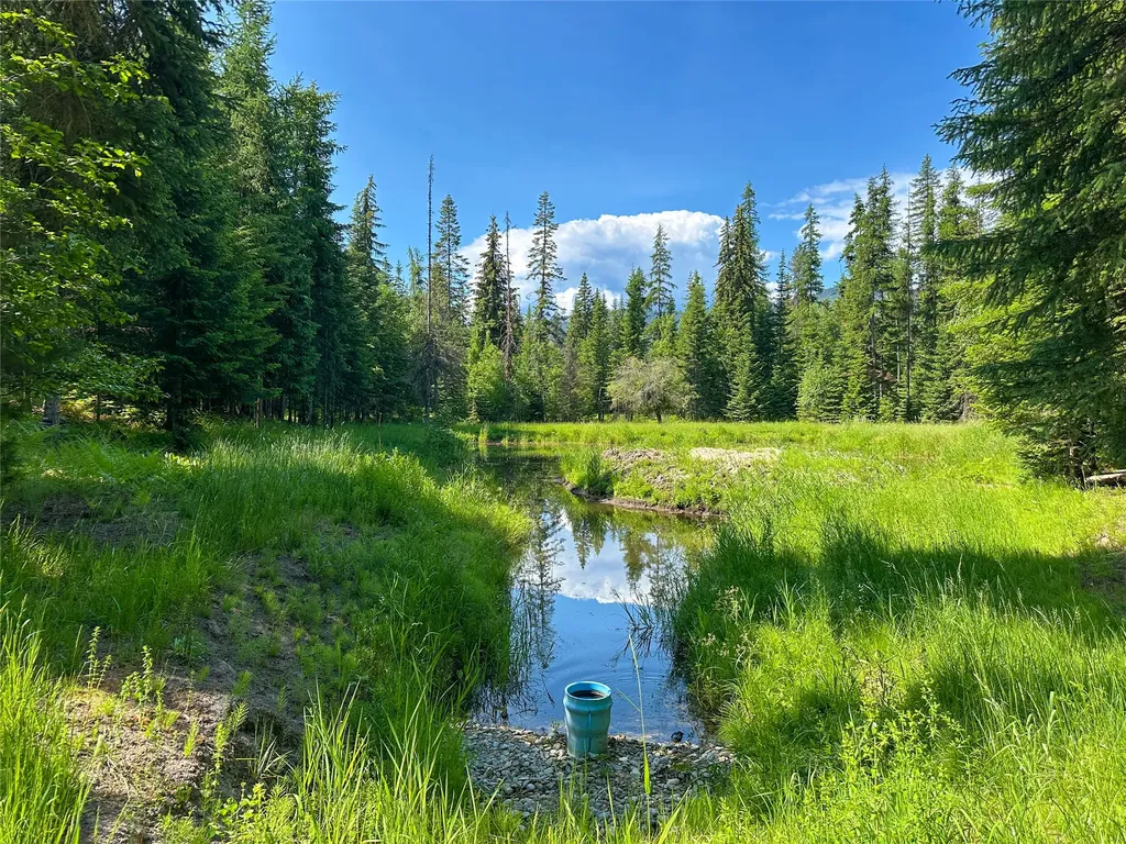 32 Whitepine Creek Road Trout Creek MT 59874