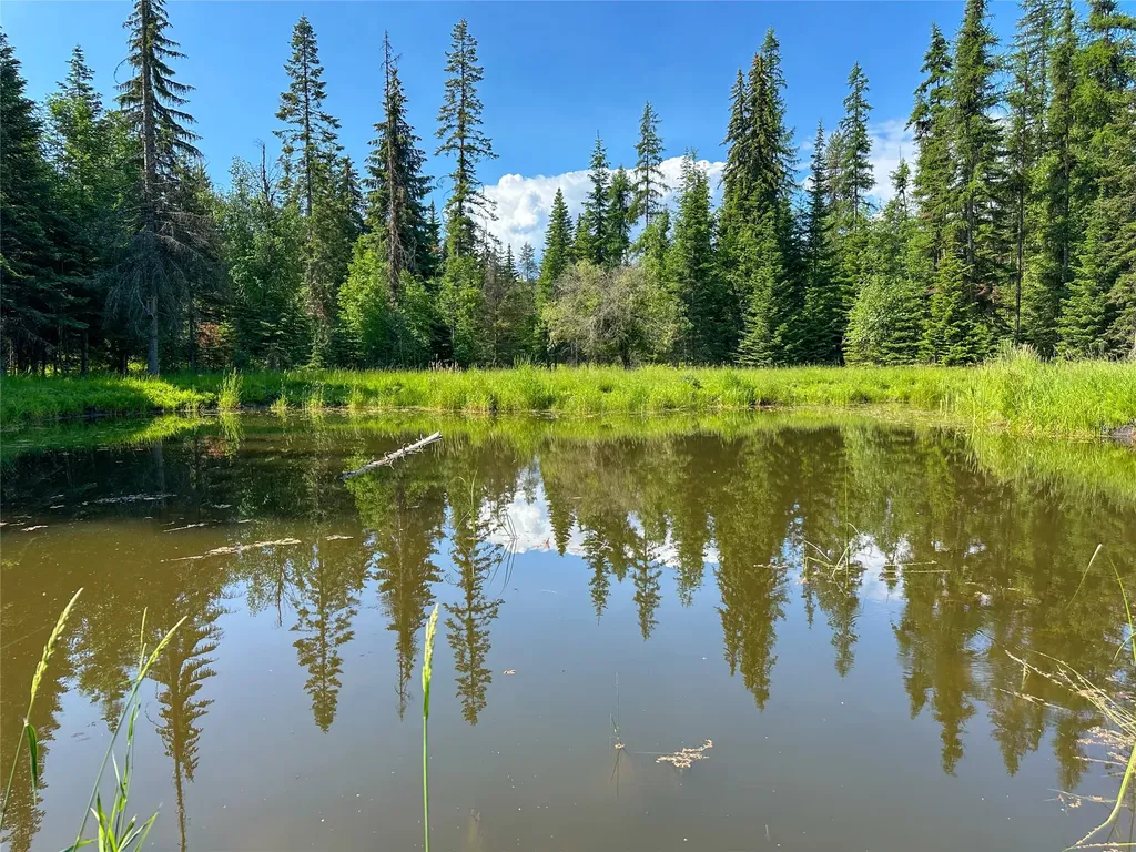 32 Whitepine Creek Road Trout Creek MT 59874