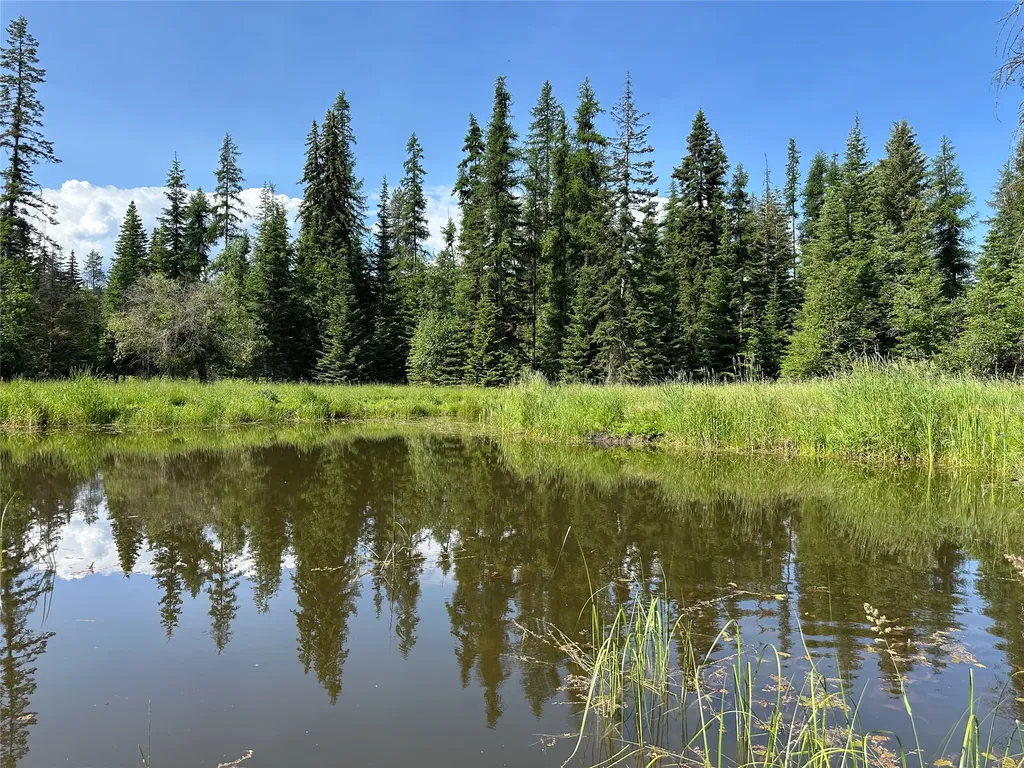 32 Whitepine Creek Road Trout Creek MT 59874