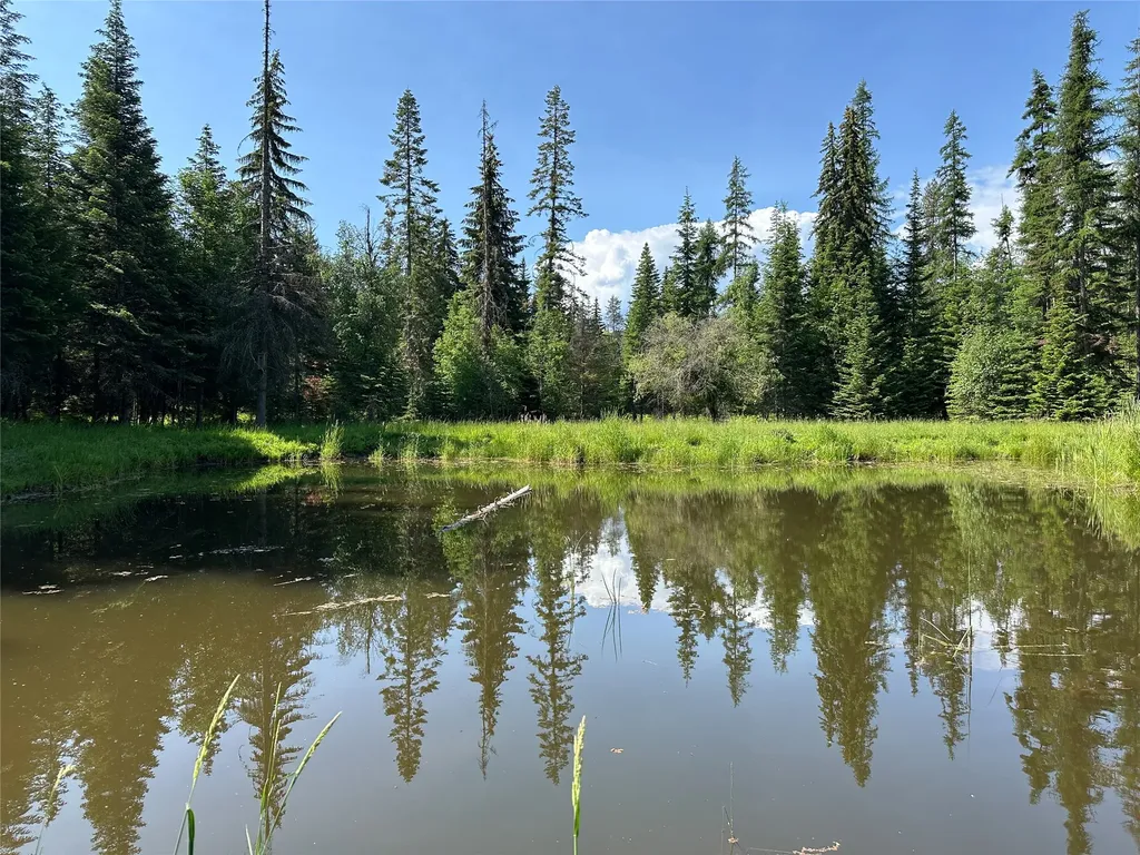 32 Whitepine Creek Road Trout Creek MT 59874