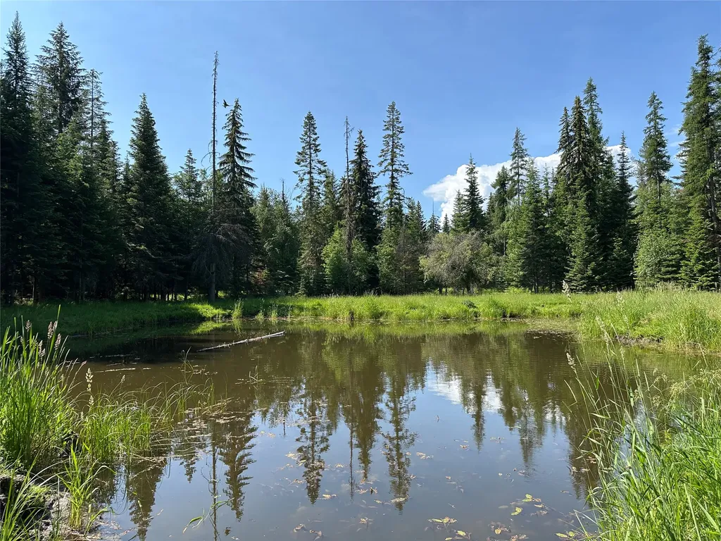 32 Whitepine Creek Road Trout Creek MT 59874