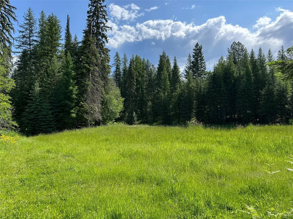 32 Whitepine Creek Road Trout Creek MT 59874
