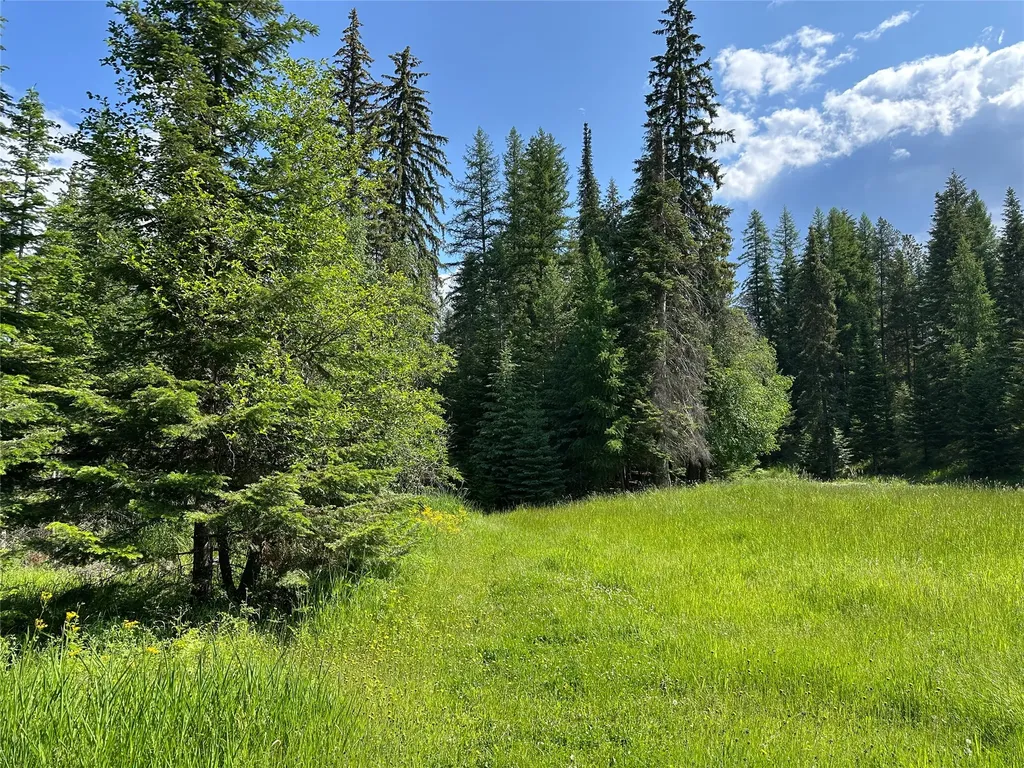 32 Whitepine Creek Road Trout Creek MT 59874