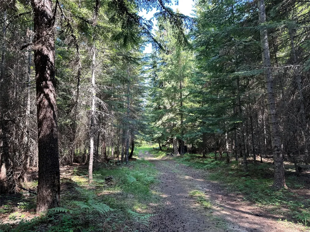 32 Whitepine Creek Road Trout Creek MT 59874