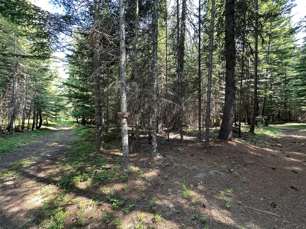 32 Whitepine Creek Road Trout Creek MT 59874