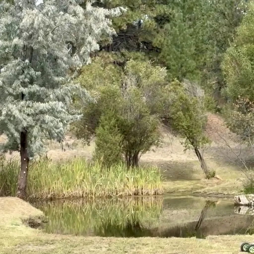 5755 Ogle View Road East Helena MT 59635