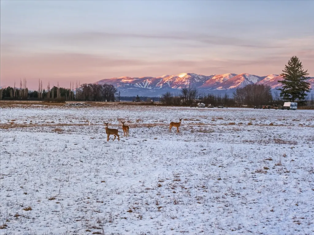 125 Glacier Flats Road Kalispell MT 59901