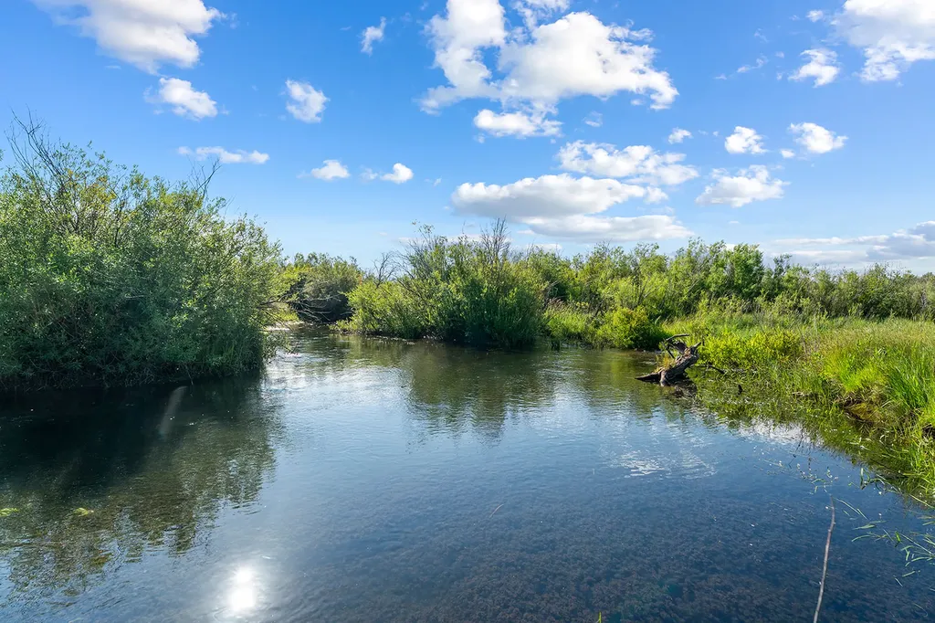 8976 Phantom Spring Lane Canyon Creek MT 59633