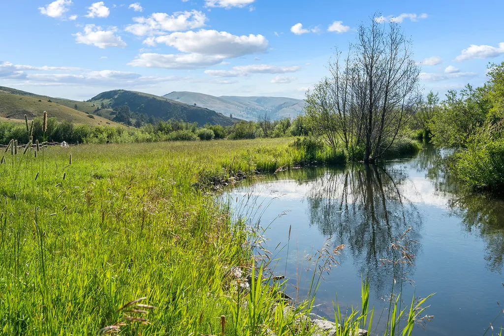 8976 Phantom Spring Lane Canyon Creek MT 59633