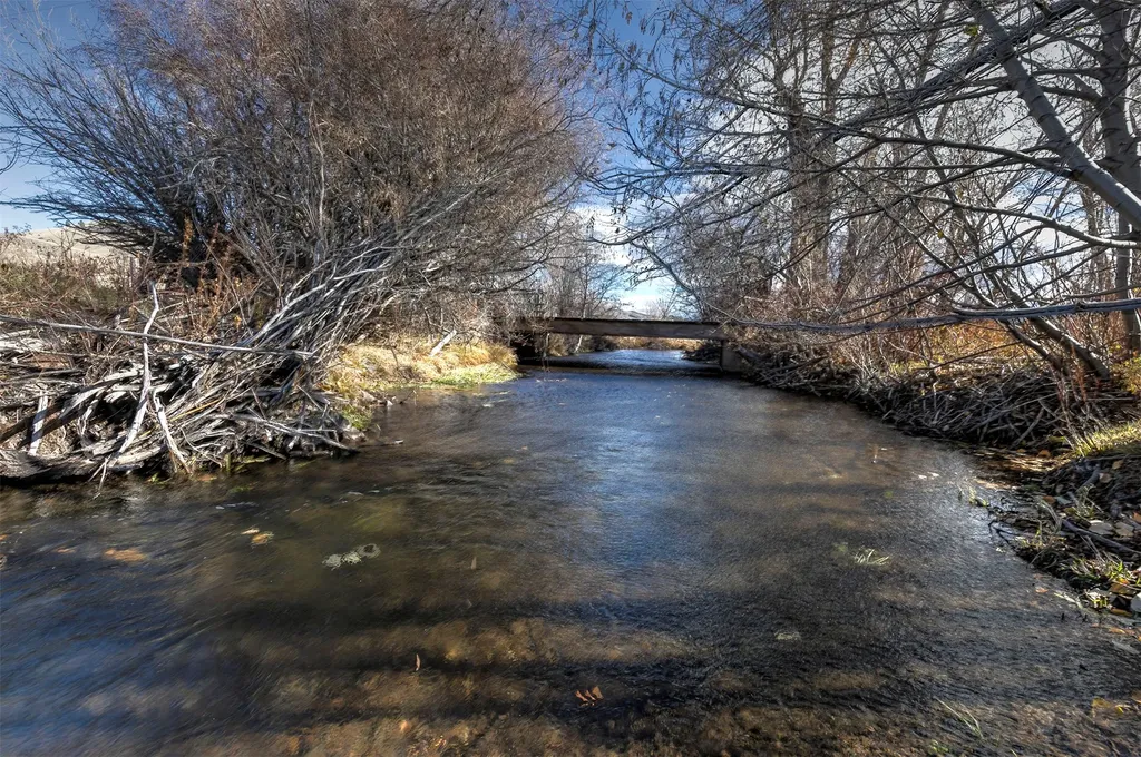 8976 Phantom Spring Lane Canyon Creek MT 59633