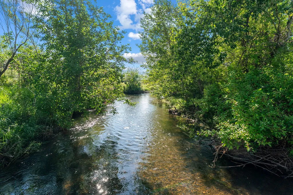 8976 Phantom Spring Lane Canyon Creek MT 59633