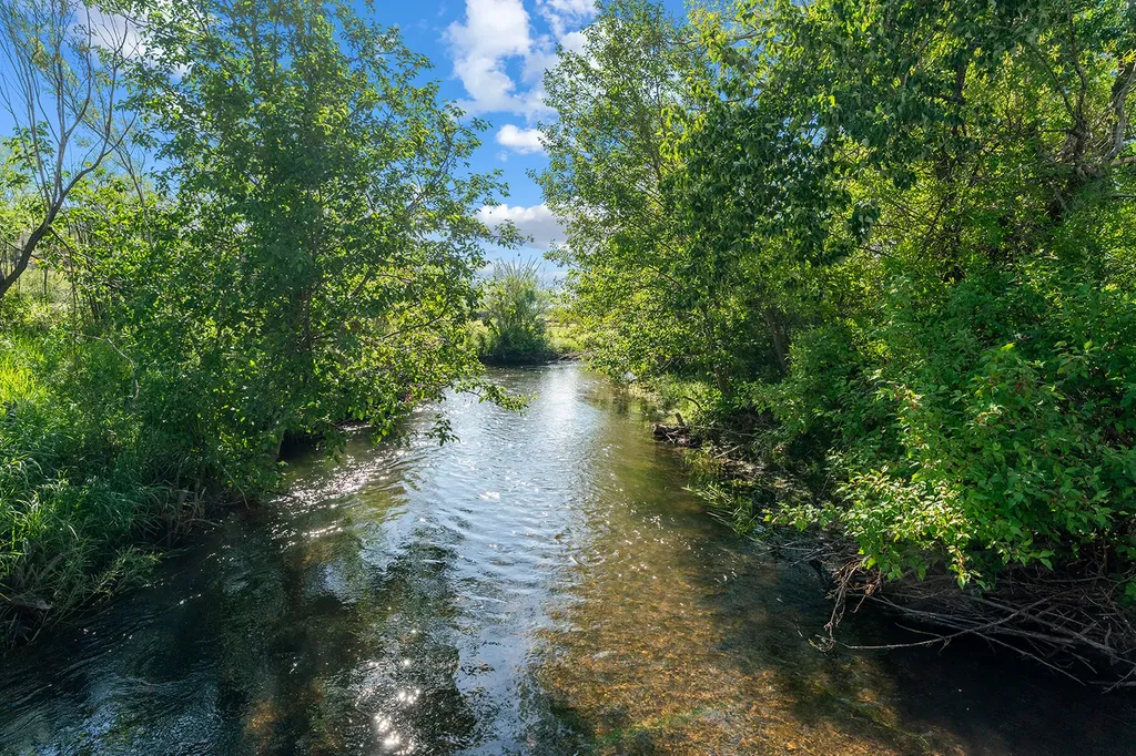 8976 Phantom Spring Lane Canyon Creek MT 59633