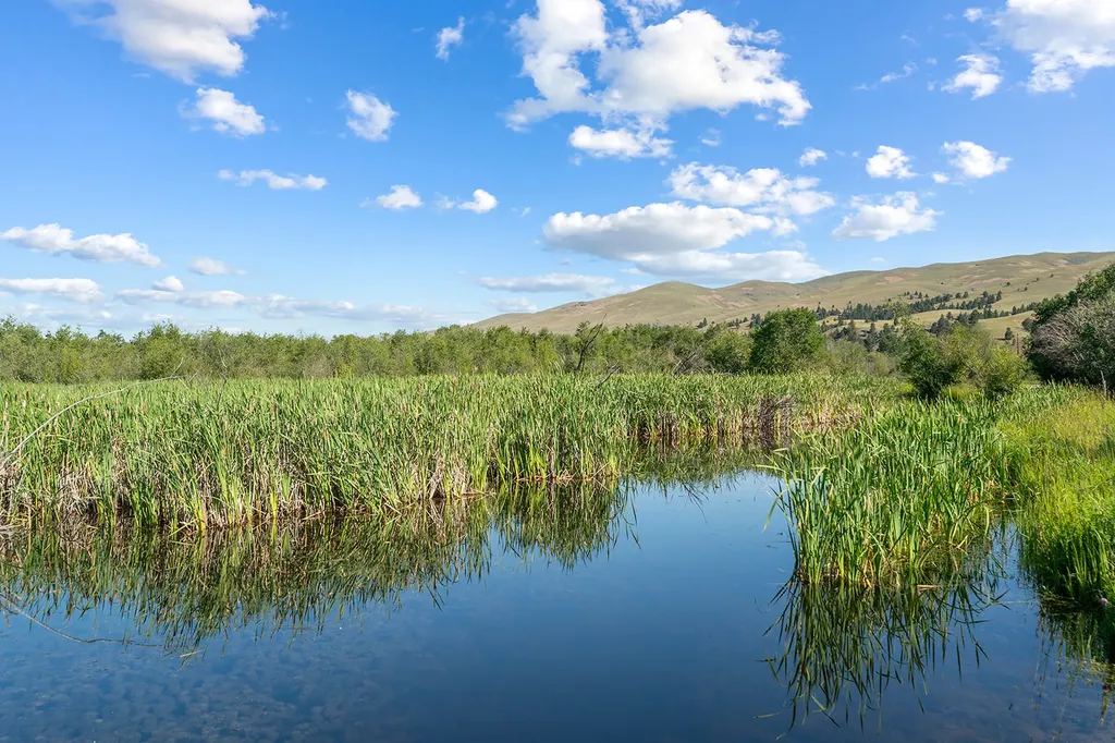 8976 Phantom Spring Lane Canyon Creek MT 59633