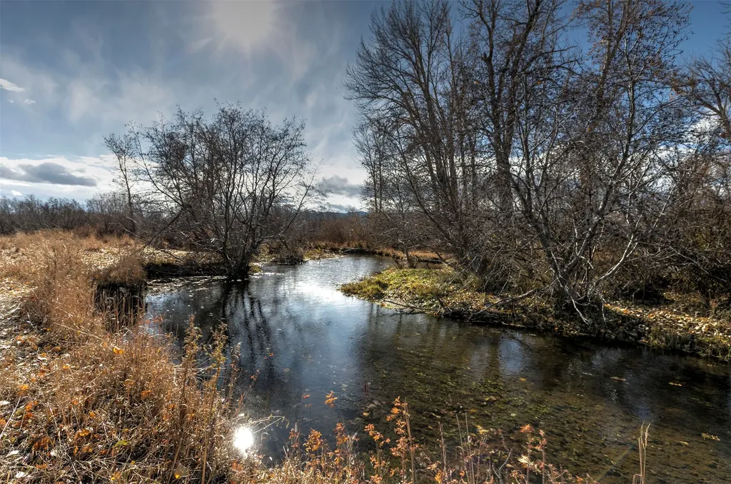 8976 Phantom Spring Lane Canyon Creek MT 59633