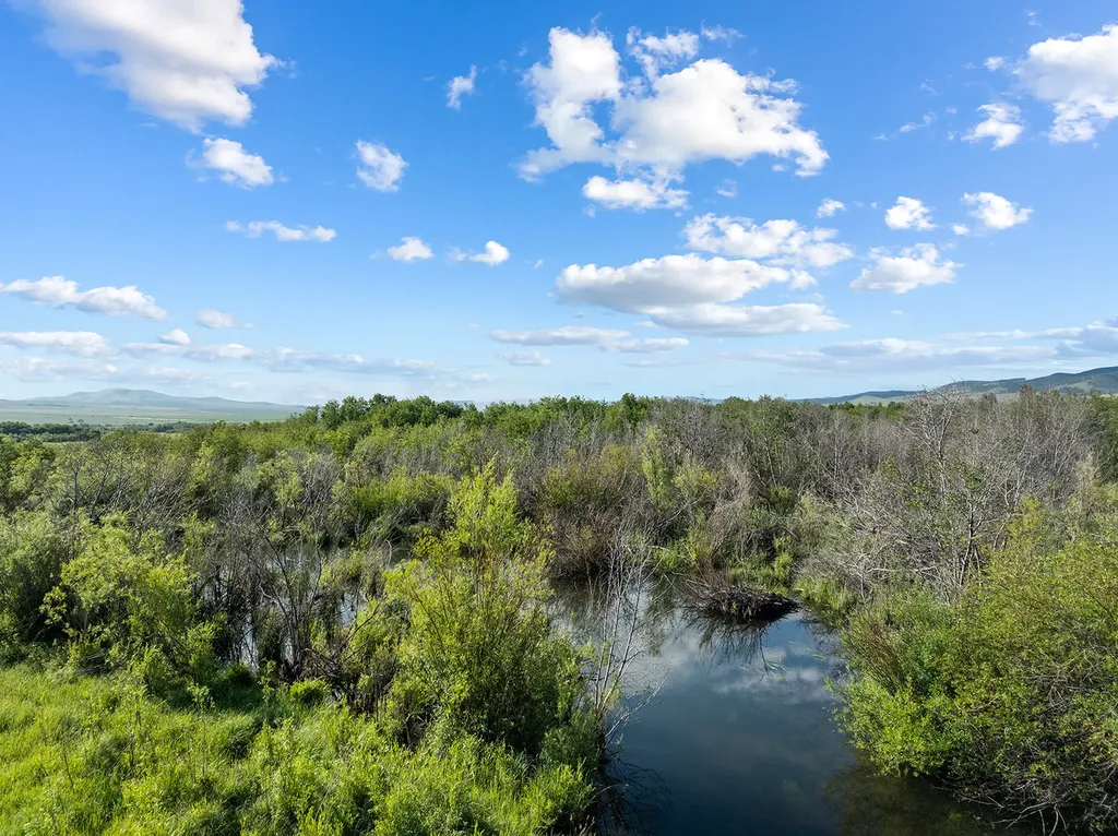 8976 Phantom Spring Lane Canyon Creek MT 59633