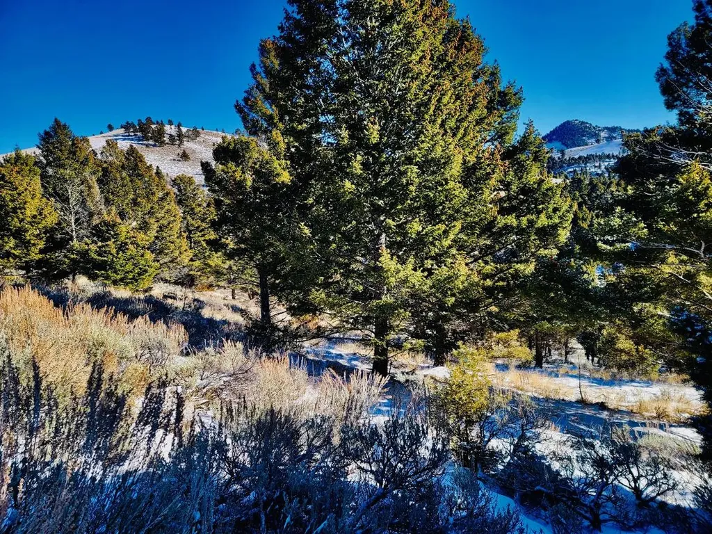 Tbd Mining Claim Access Basin MT 59631