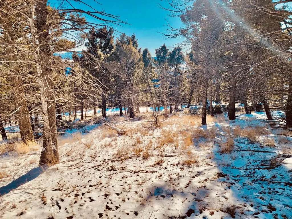Tbd Mining Claim Access Basin MT 59631