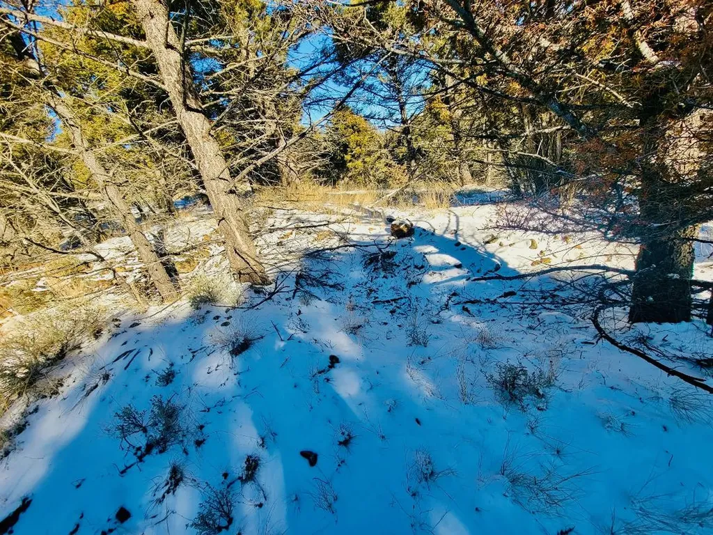 Tbd Mining Claim Access Basin MT 59631