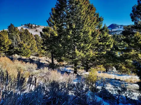 TBD Mining Claim Access Basin MT 59631