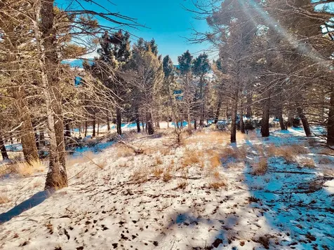 TBD Mining Claim Access Basin MT 59631