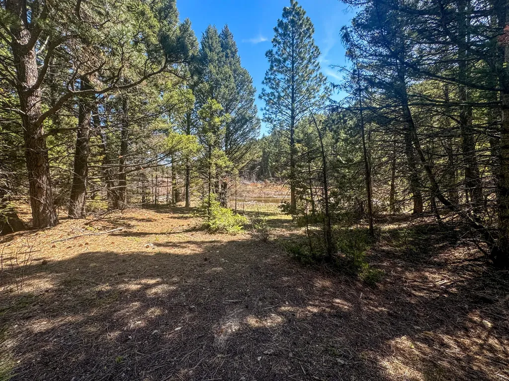 Tbd Marysville Road Marysville MT 59640
