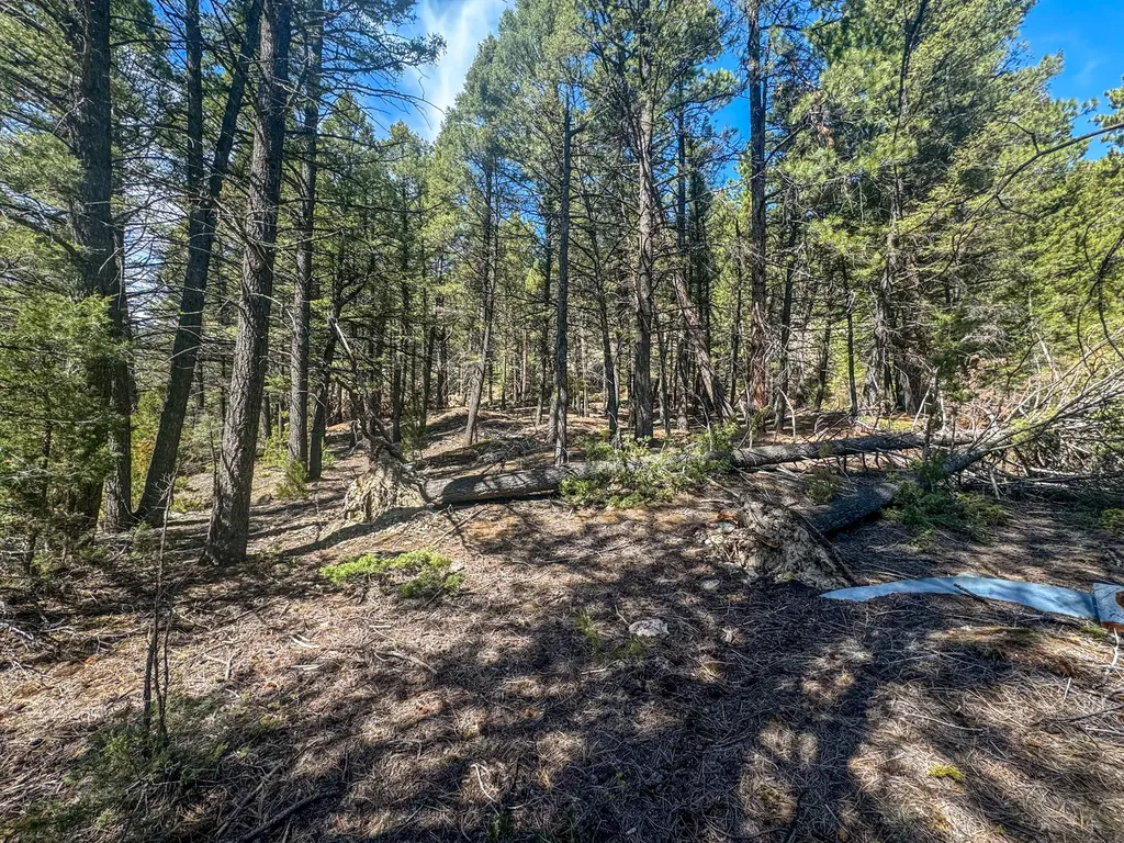 Tbd Marysville Road Marysville MT 59640