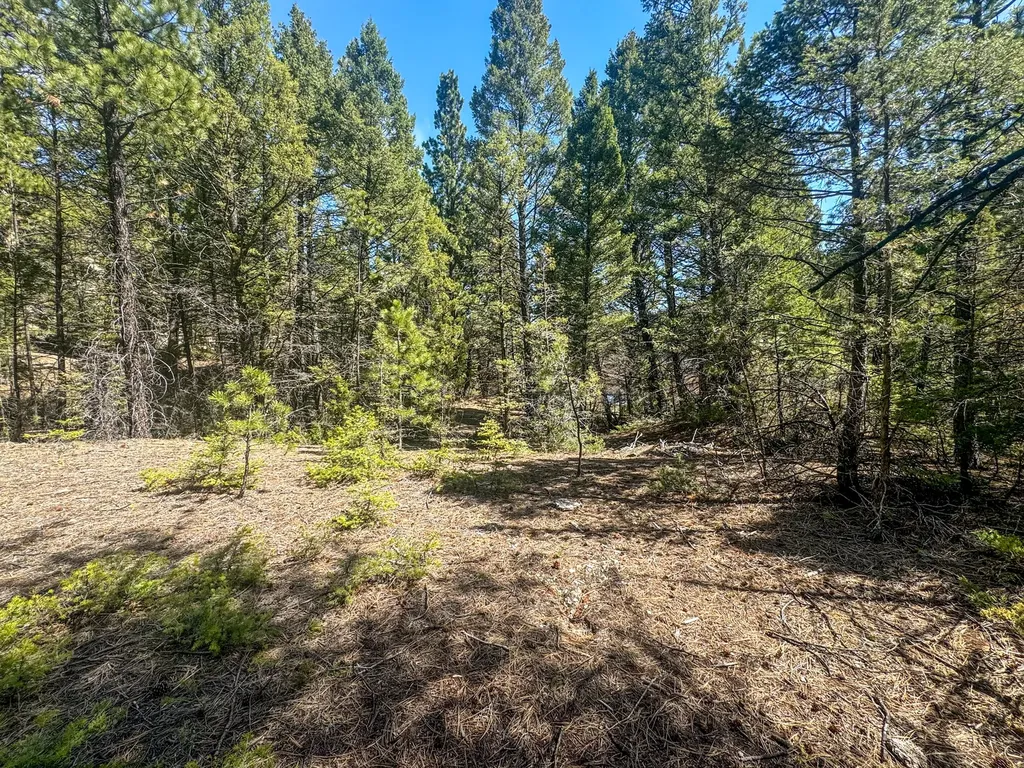 Tbd Marysville Road Marysville MT 59640