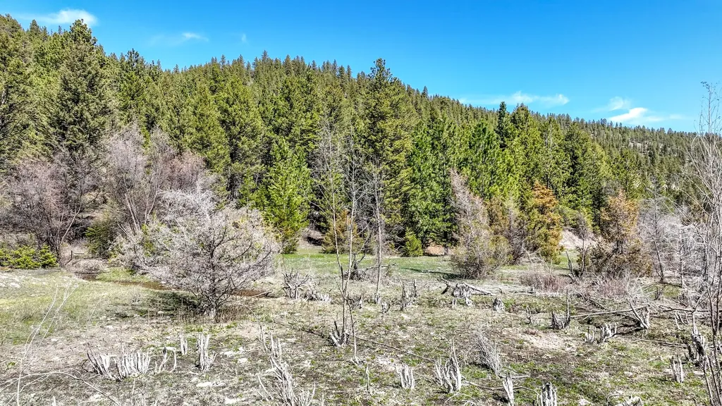Tbd Marysville Road Marysville MT 59640