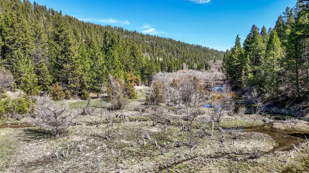 Tbd Marysville Road Marysville MT 59640