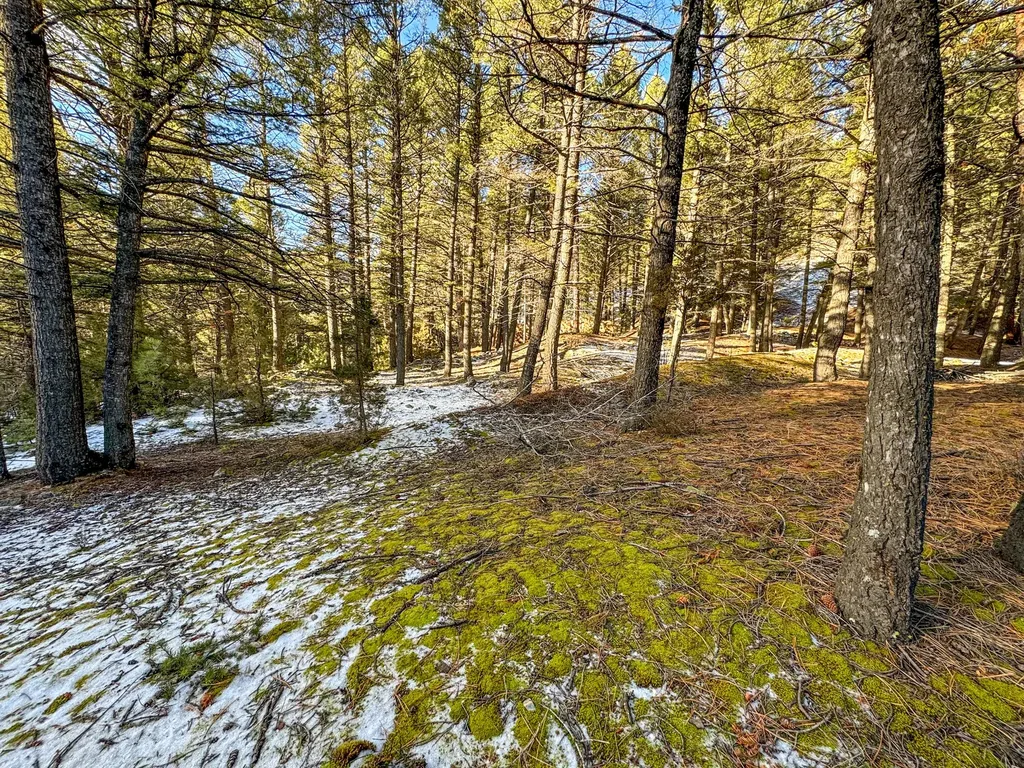 Tbd Marysville Road Marysville MT 59640