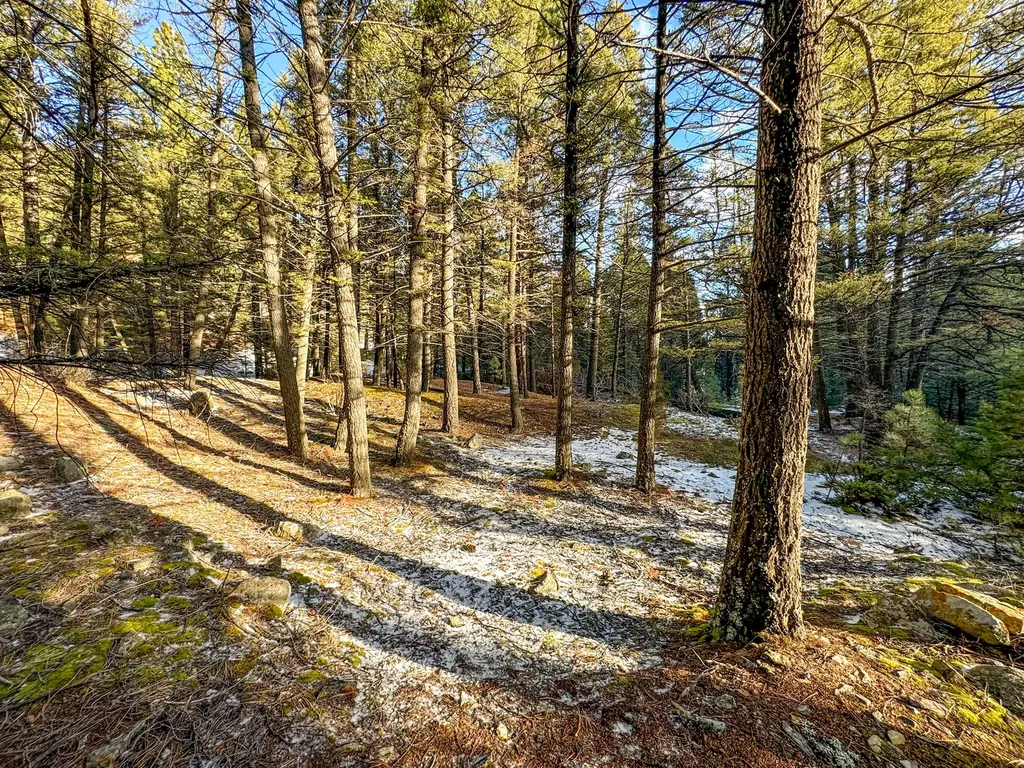 Tbd Marysville Road Marysville MT 59640