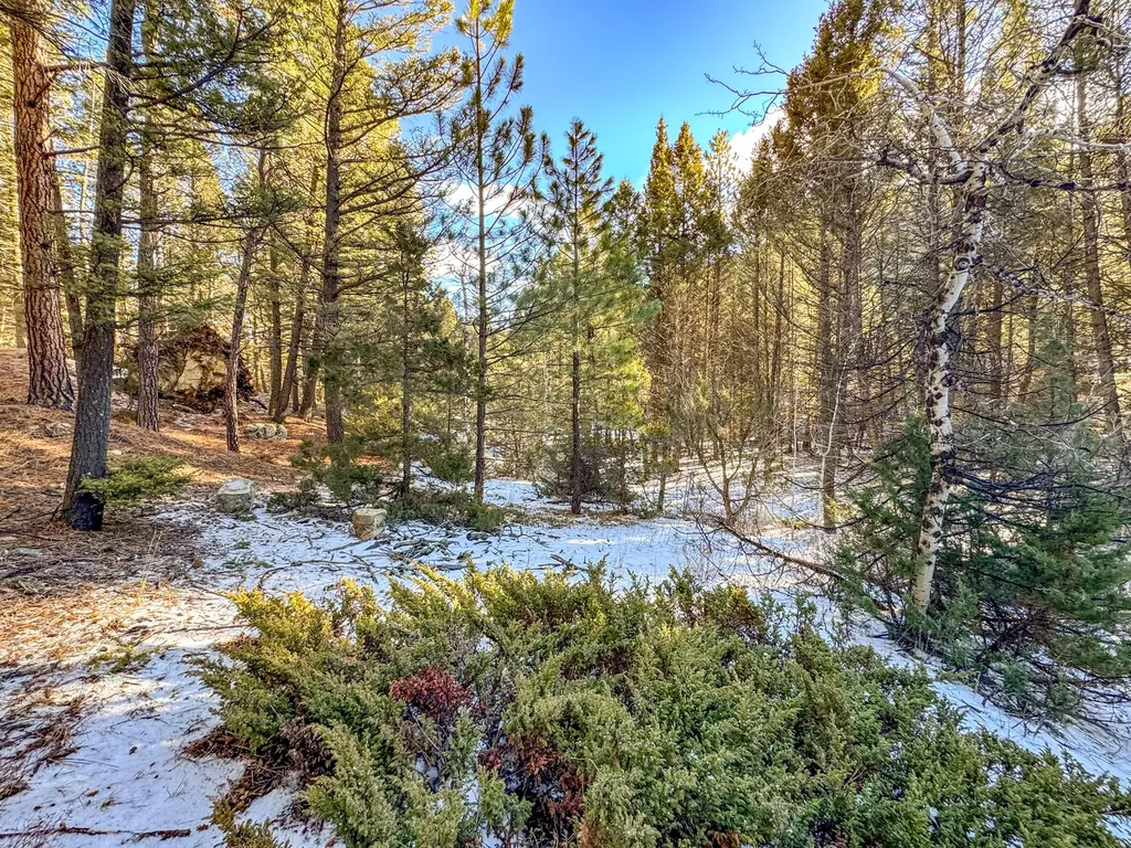 Tbd Marysville Road Marysville MT 59640