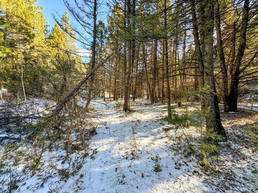 Tbd Marysville Road Marysville MT 59640