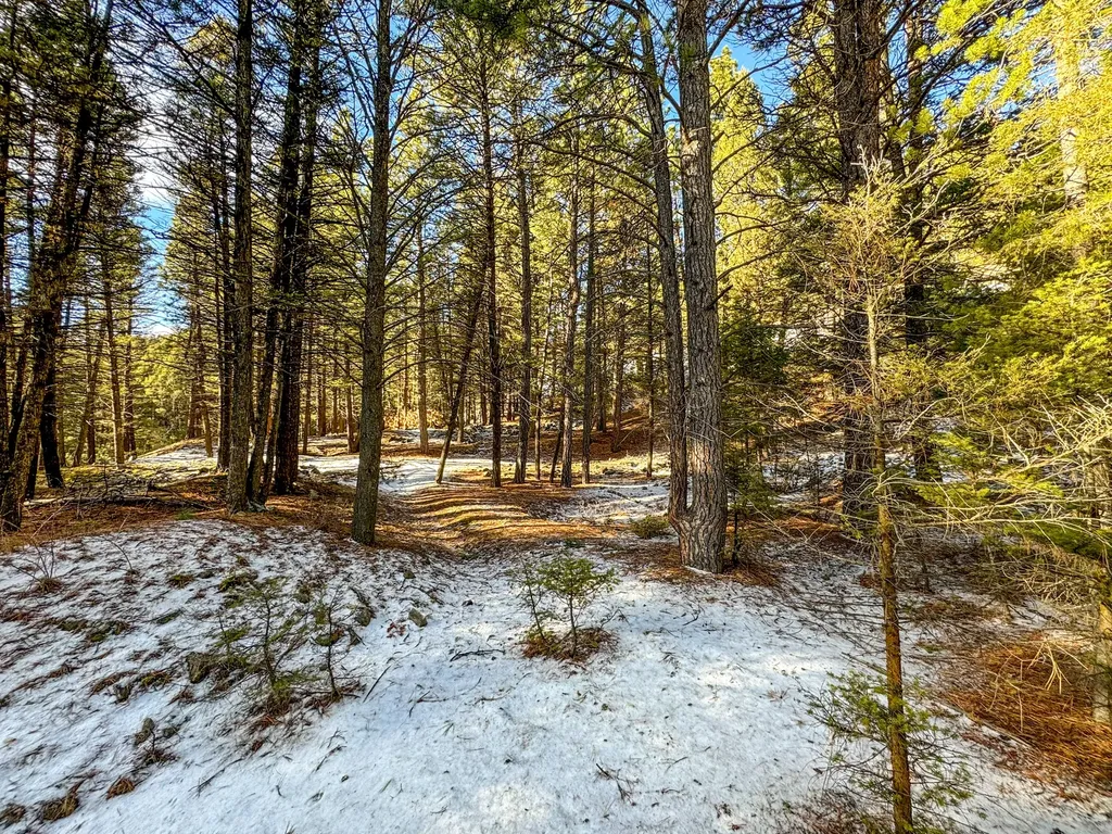 Tbd Marysville Road Marysville MT 59640