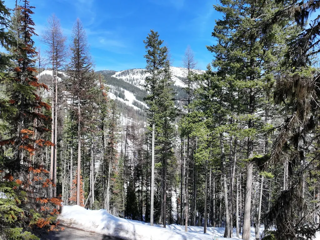 1046 Elk Camp Loop Whitefish MT 59937