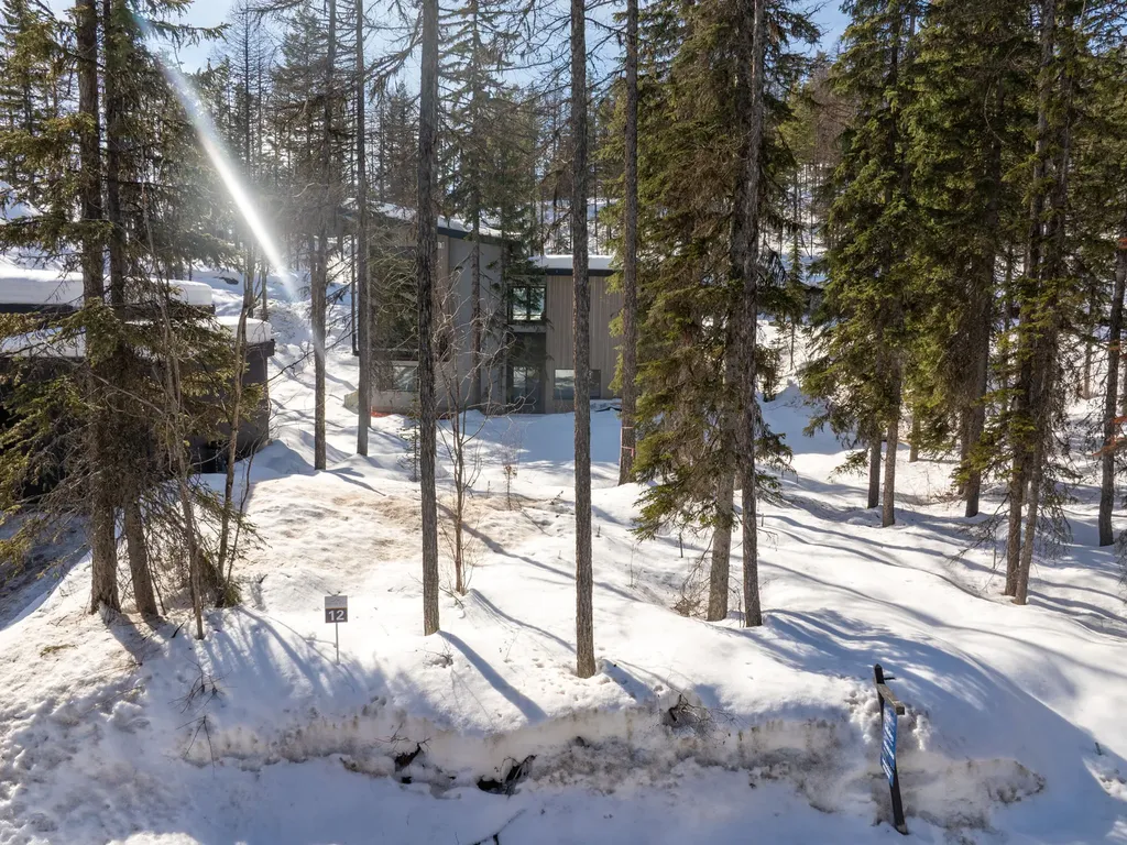 1046 Elk Camp Loop Whitefish MT 59937