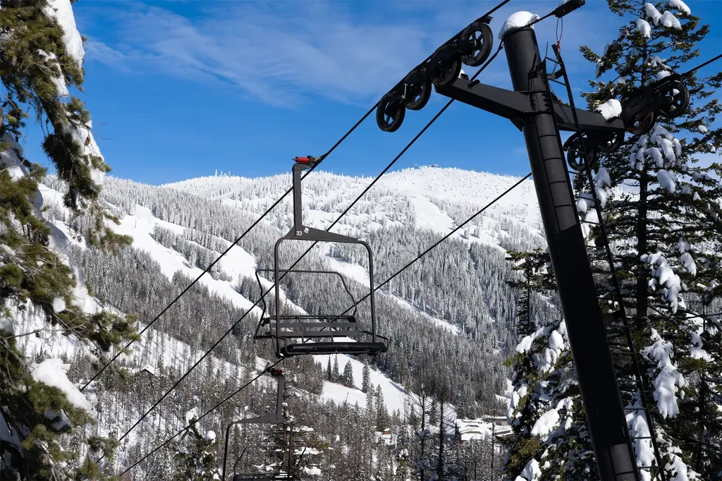 1046 Elk Camp Loop Whitefish MT 59937