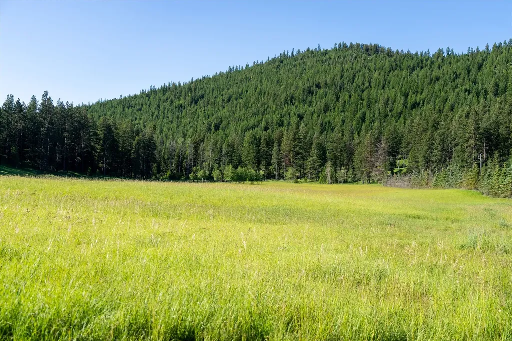 1675 Haywire Gulch Kalispell MT 59901