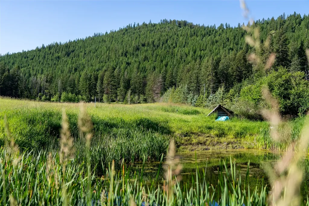 1675 Haywire Gulch Kalispell MT 59901