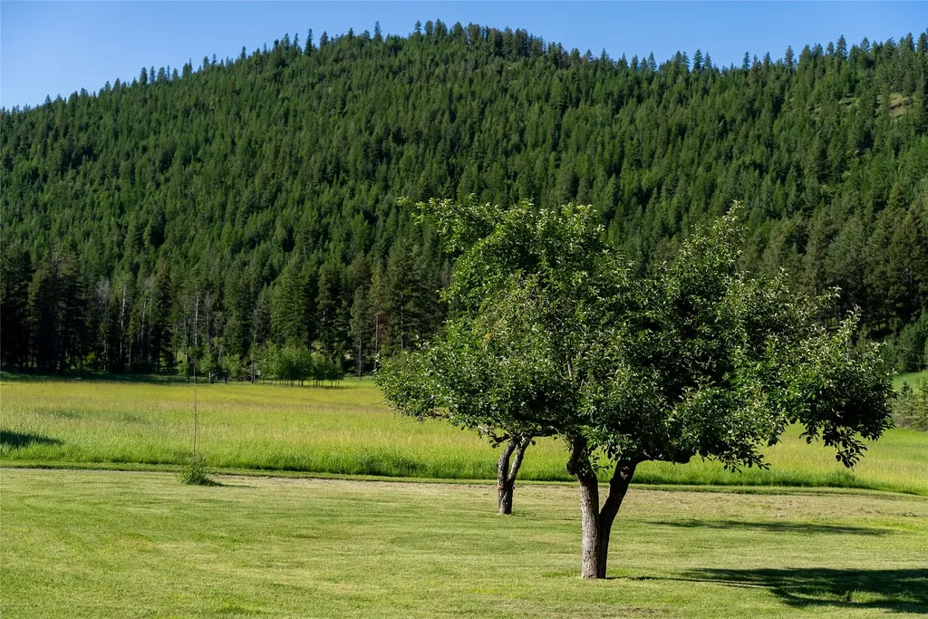 1675 Haywire Gulch Kalispell MT 59901