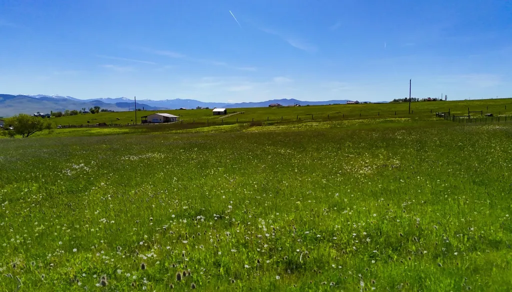 Nhn Bigfoot Trail St Ignatius MT 59865