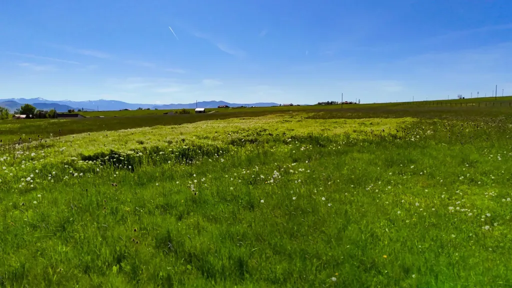 Nhn Bigfoot Trail St Ignatius MT 59865