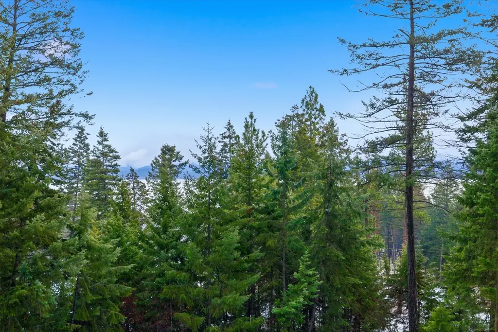 532 Grayling Road Lakeside MT 59922