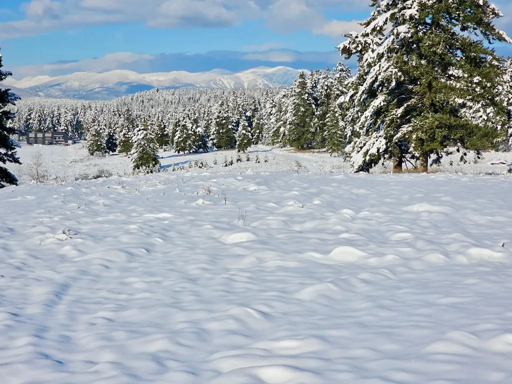 1310 Prairie View Road Kalispell MT 59901