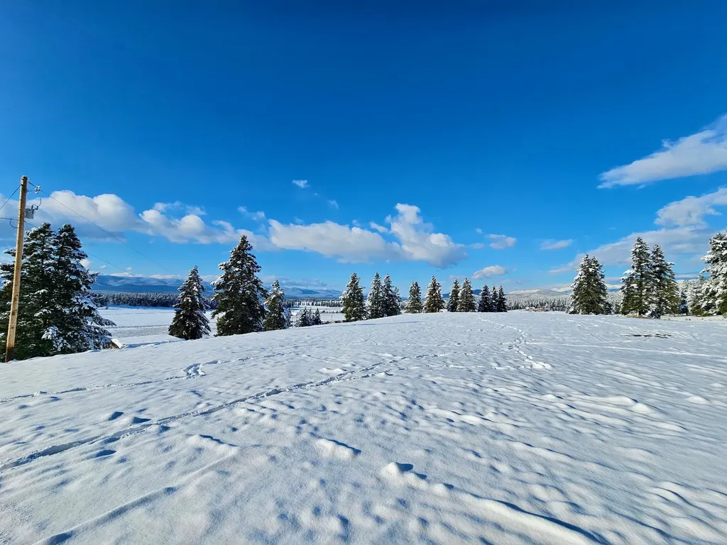 1310 Prairie View Road Kalispell MT 59901