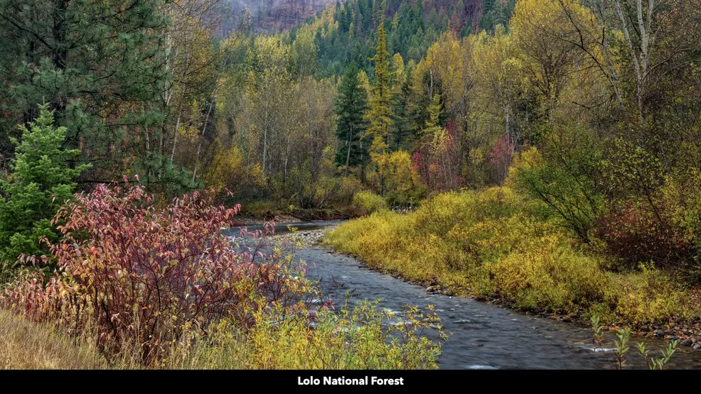 Tbd Cold Creek Road St Regis MT 59866
