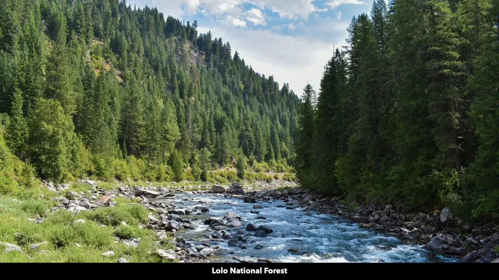 Tbd Cold Creek Road St Regis MT 59866