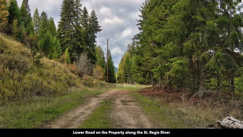 Tbd Cold Creek Road St Regis MT 59866