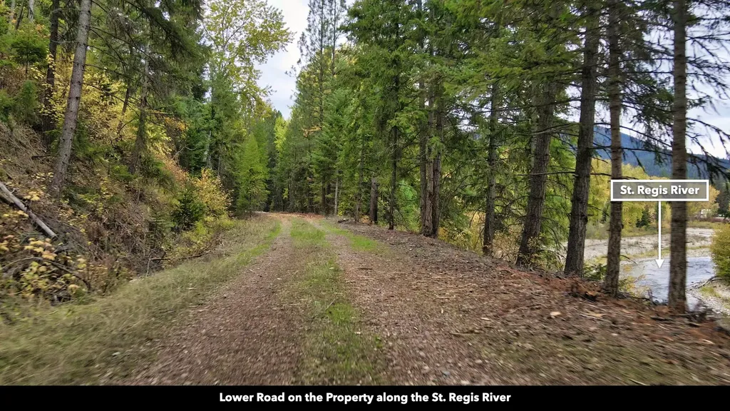 Tbd Cold Creek Road St Regis MT 59866
