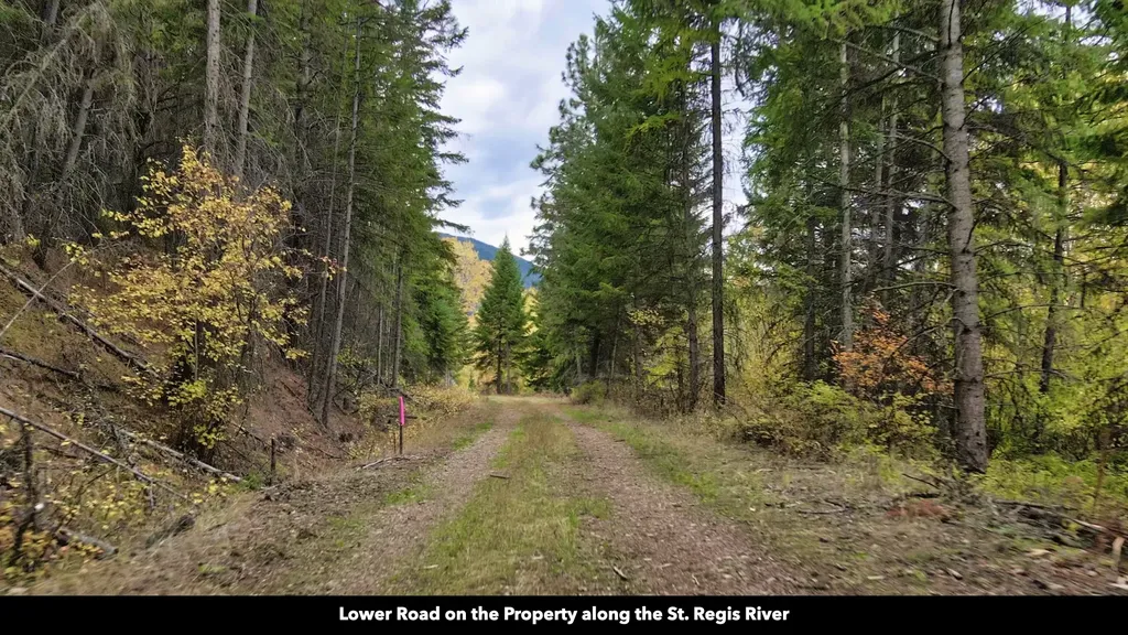 Tbd Cold Creek Road St Regis MT 59866